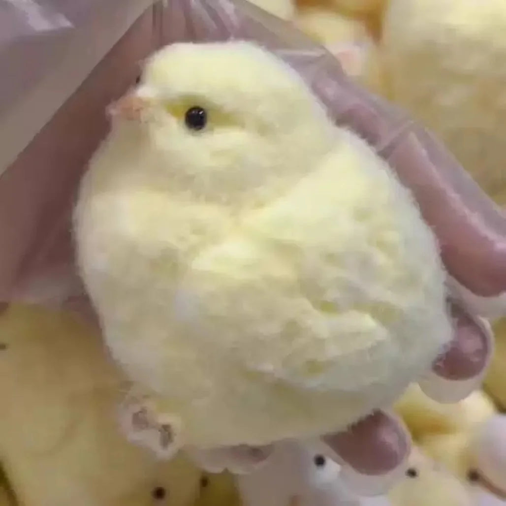 Slow Rise Chicken Squishy | Cute Desk Fidget Toy for Anxiety Relief